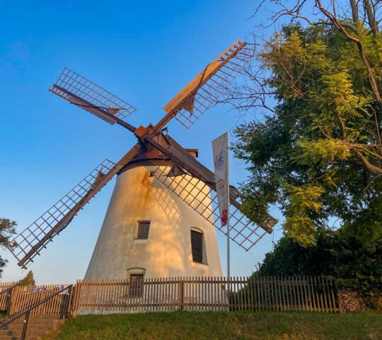 Podersdorf windmill