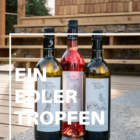 steiRerBLiCke- Weingartenresidenz Guntschenberg