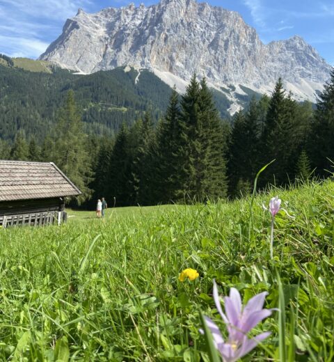 Tirol: Wanderung über die Streif am Hahnenkamm