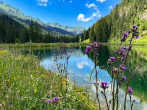 Herzsee im Kleinwalsertal, Vorarlberg- jetzt auf 365Austria buchen, by Paul Weindl