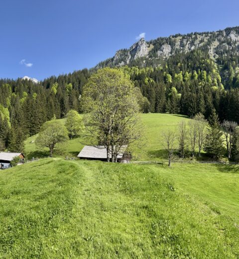 Tirol: Wanderung über die Streif am Hahnenkamm