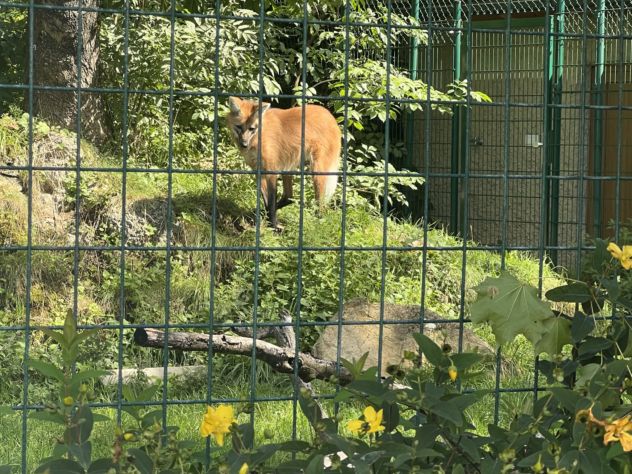 Zoo Salzburg Hellbrunn