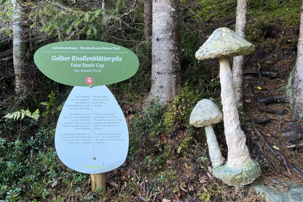 The Mushroom Trail in Rohrmoos