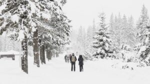 Eine Gruppe von Menschen, darunter auch AVIVA, geht einen schneebedeckten Weg entlang und schließt dabei neue Freundschaften.