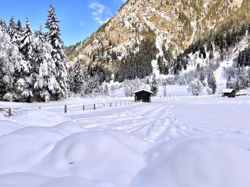 Eine Winterwanderung im Bad Gasteiner Kötschachtal mit einem schneebedeckten Feld und Bäumen im Hintergrund.