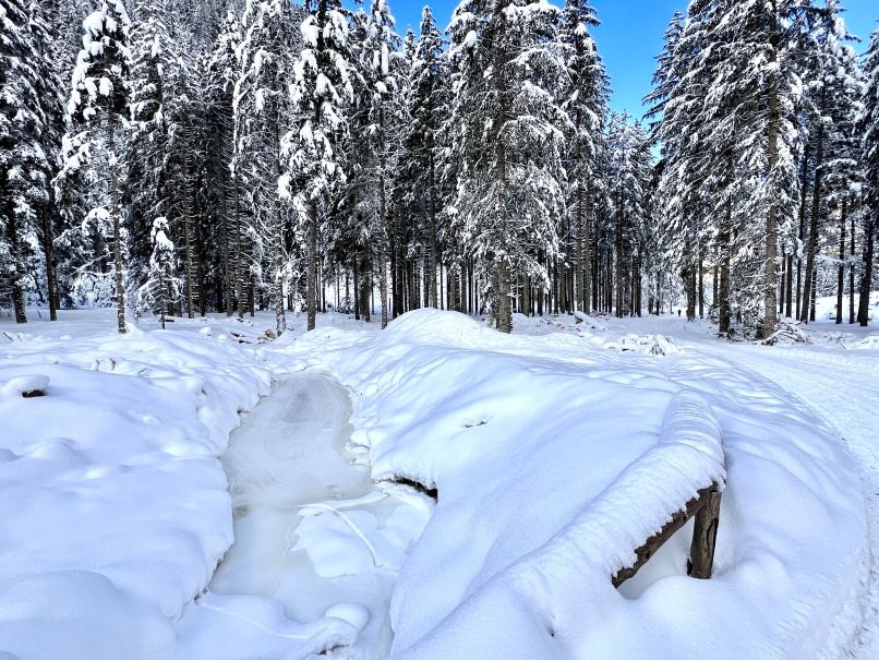 Eine Winterwanderung im verschneiten Kötschachtal bei Bad Gastein.