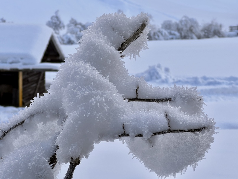 Eine Winterwanderung im Kötschachtal, Bad Gastein zeigt einen schneebedeckten Ast mit einem kleinen Haus im Hintergrund.