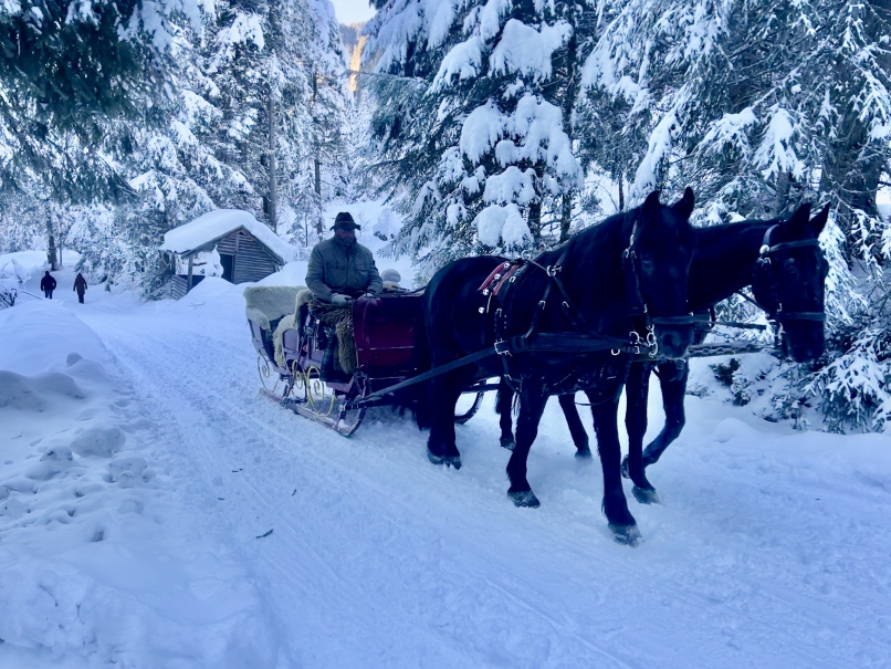 Zwei Pferde ziehen bei einer Winterwanderung in Bad Gastein einen Schlitten durch die verschneite Landschaft des Kötschachtals.