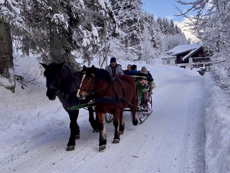 Ein von Pferden gezogener Schlitten auf einer verschneiten Straße im Kötschachtal nach Prosau während einer Winterwanderung in Bad Gastein.