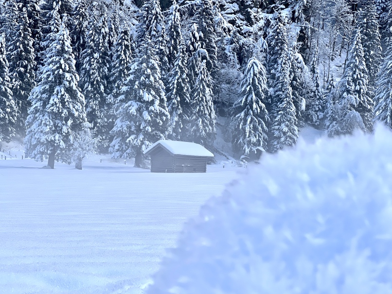 Ein verschneites Feld mit Bäumen und einer Hütte im Kötschachtal.