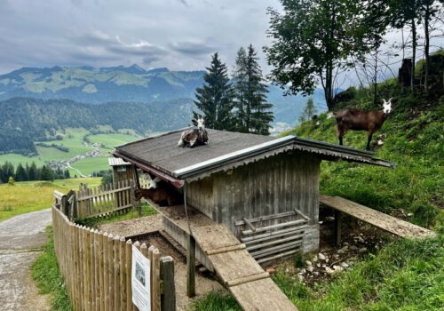 IMG_0633 Zahmer Kaiser cable car, 365 Austria by Paul Weindl