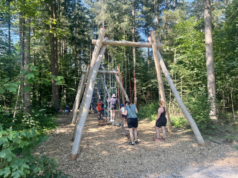 A group of people wait in a line to use a large wooden swing at the Kössen Motorikpark. The area is surrounded by tall trees and has a wood chip flooring. The scene is sunny and highlights the green of the surrounding trees.