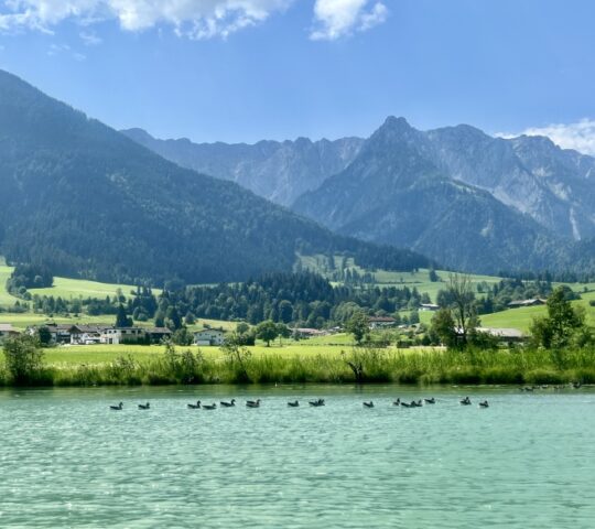 Der Walchsee