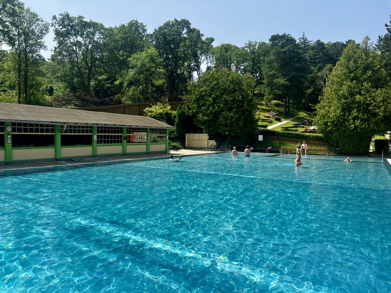 An outdoor pool at Neuwaldegger Bad with a few people swimming and lounging in the water. A building with large windows and a green border runs along one side of the pool. In the background is a grassy hill with trees and a small building. All located in 1170 Vienna.