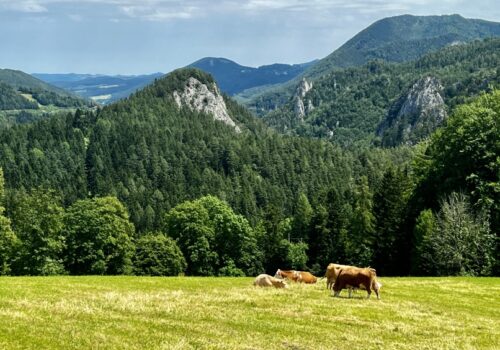 Hike along the Semmering Railway, 365 Austria by Paul Weindl (16)