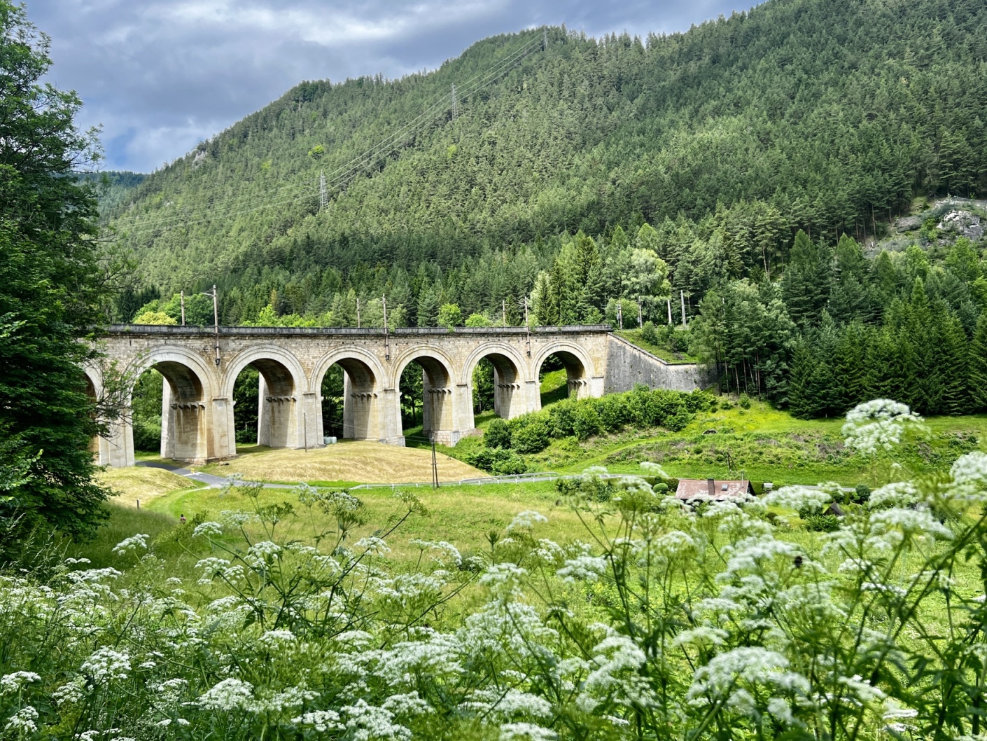 A scenic view of the historic stone viaduct with multiple arches spanning a grassy valley. Wildflowers grow in the foreground and thick green forests cover the surrounding hills. Cloudy skies contrast with the greenery on this scenic Semmering Railway hike.