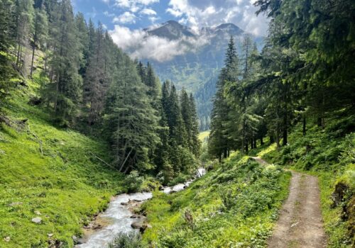 IMG_0020 Seidelwinkeltal in Rauris, 365 Austria by Paul Weindl