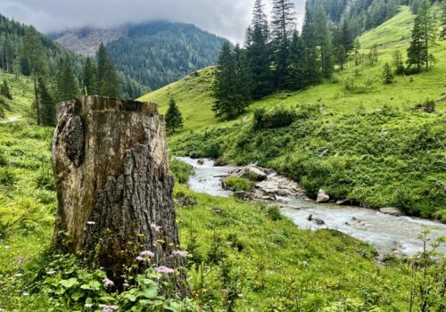 IMG_0083 Seidelwinkeltal in Rauris, 365 Austria by Paul Weindl