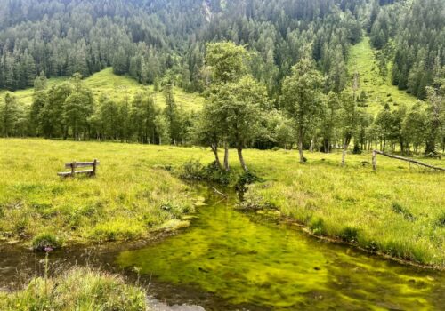 IMG_0102 Seidelwinkeltal in Rauris, 365 Austria by Paul Weindl