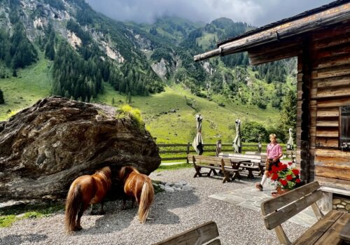 IMG_0120 Seidelwinkeltal in Rauris, 365 Austria by Paul Weindl