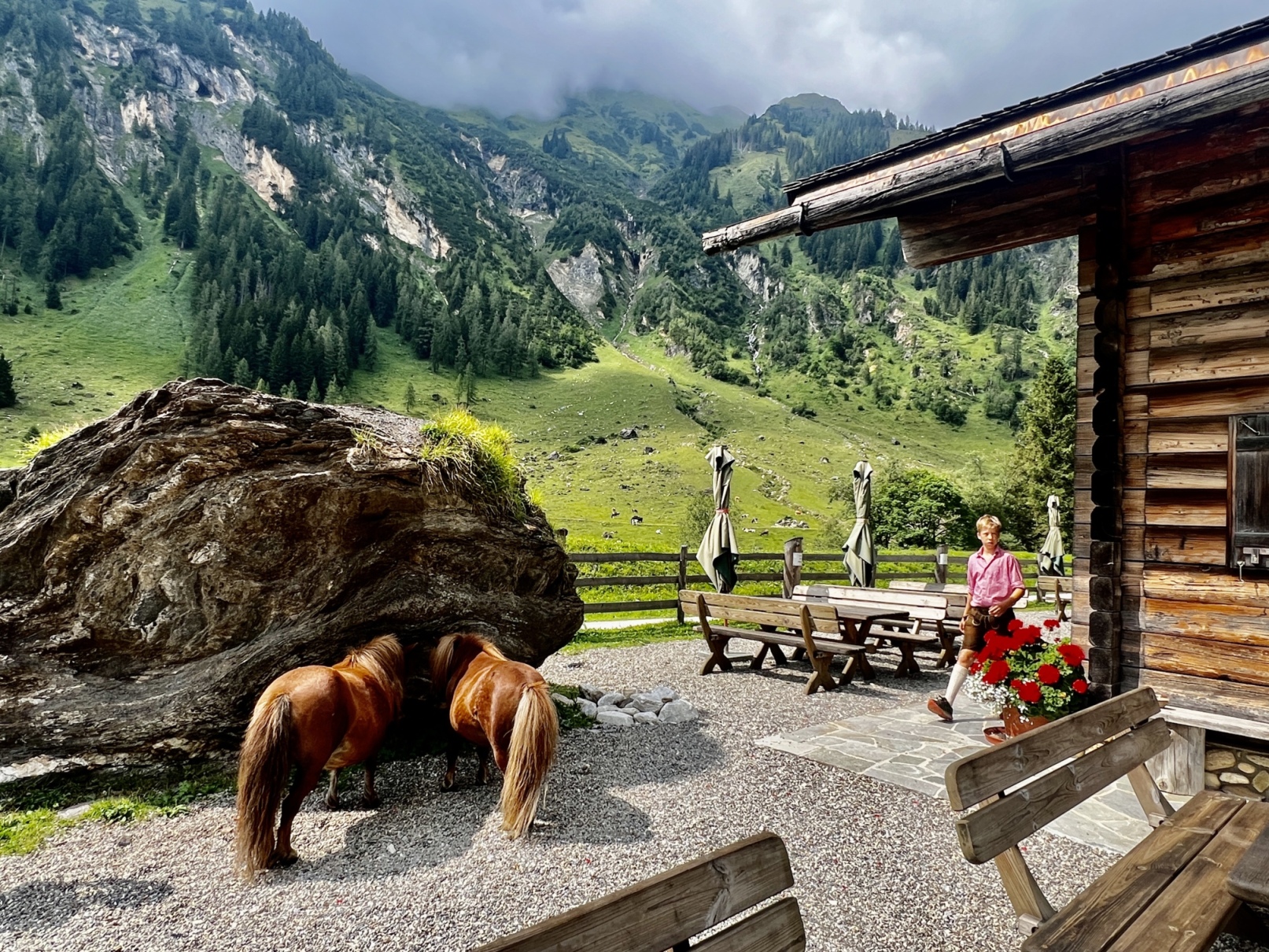 Eine Person sitzt an einem Holztisch im Freien in der Nähe einer Blockhütte im Berggebiet von Rauris. Zwei braune Ponys stehen neben einem großen Felsen. Im Hintergrund sind grüne Hügel, dichter Wald und bewölkter Himmel zu sehen. Rote Blumen in einem Topf bringen Farbe in dieses Salzburger Sommerhighlight.